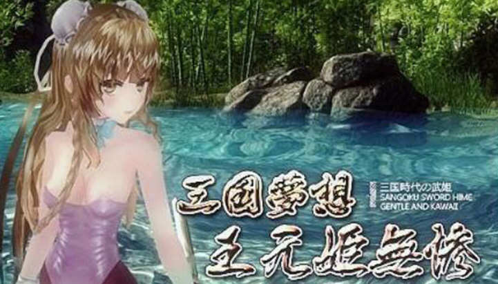 三国梦想：王元姫無惨 官方中文版 同人ARPG游戏 补 3.8G-比心acgn